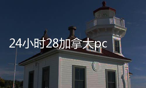 24小时28加拿大pc预测准确率100%网站回平台（canada28预测28开奖网站刮奖专业平台）